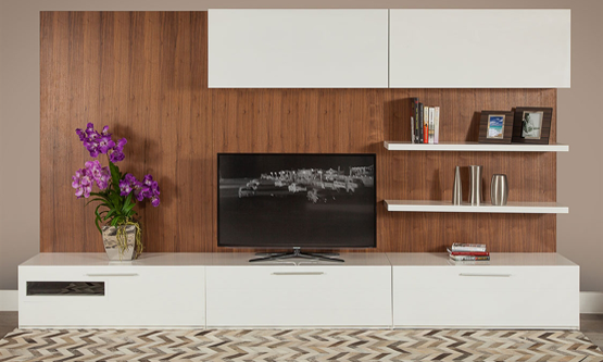 TV Unit
